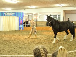 IMG_5184_web